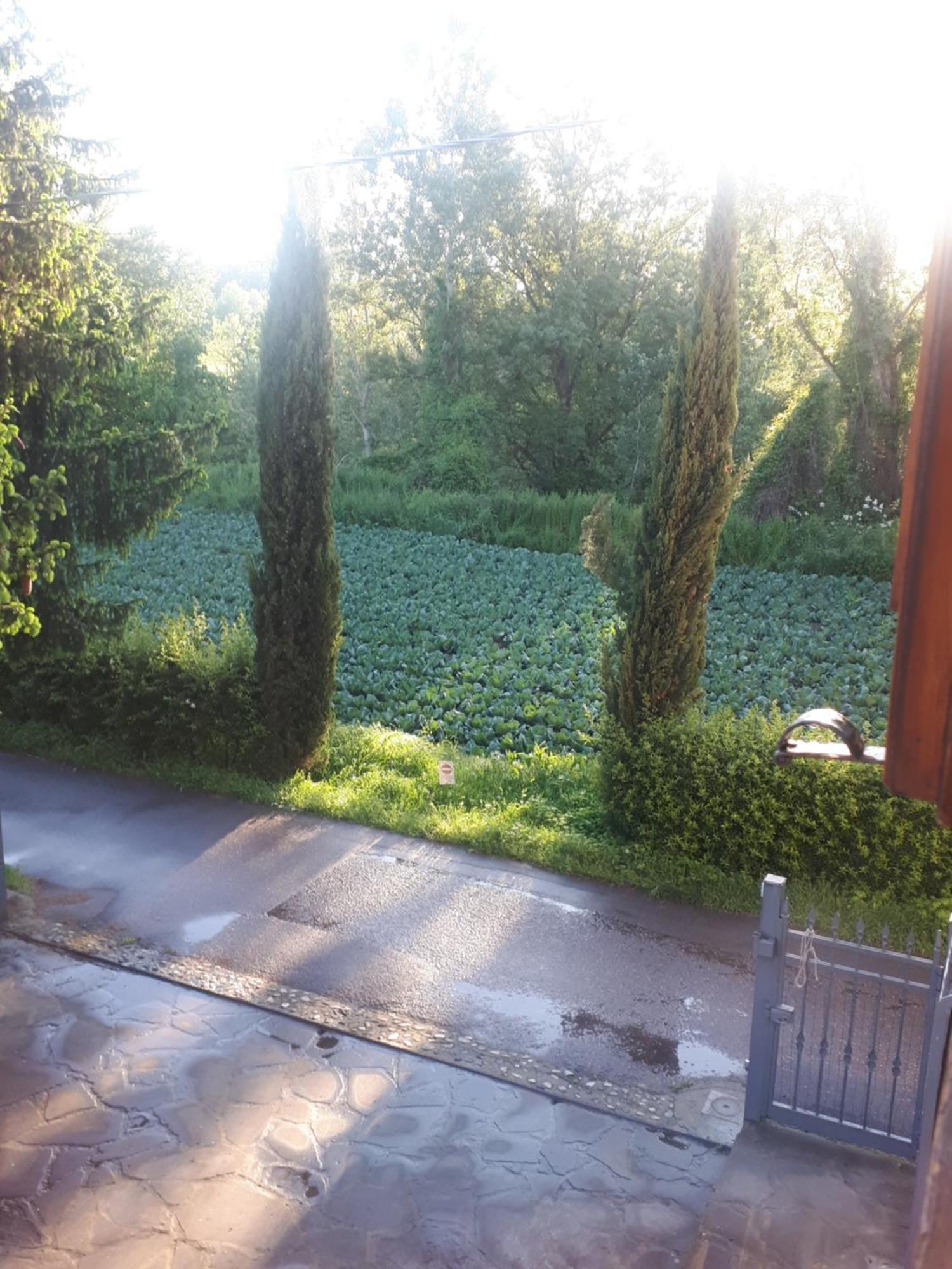 B&B Due Abeti Florenz Exterior foto